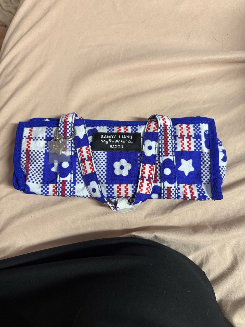Baggu X Sandy Liang Mini Market